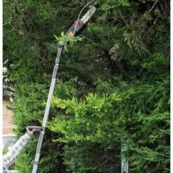 ELEM GARDEN TECHNIC Scie à ébrancher Sur Perche 710W Guide Oregon 24cm -TronçOnneuse Et Accessoire Sales 15087529 5