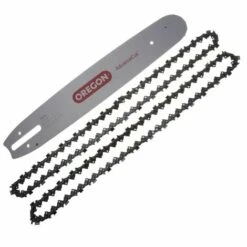 Combo Oregon 153SFGD025 38cm De Coupe Avec Deux Chaines 22BPX062E