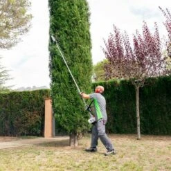 Tronçonneuse Elagueuse à Essence 2 Temps 65cc 4,9cv, Longueur De L'épée 305 Mm, Distance Maximale 5m - Greencut PP650X 9 Tronçonneuse Elagueuse à Essence 2 Temps 65cc 4,9cv, Longueur De L'épée 305 Mm, Distance Maximale 5m - Greencut PP650X -TronçOnneuse Et Accessoire Sales 2746547 3