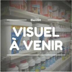 G�N�RIQUE Vis Sans Fin Pour Pompe à Huile, Adaptable HUSQVARNA Modèles 281, 288, 288 EPA. Remplace Origine 501 29 37-01, 503 69 82-01.