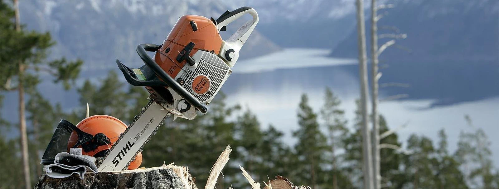 Tronçonneuse et accessoire Soldes 2022 -TronçOnneuse Et Accessoire Sales 646556